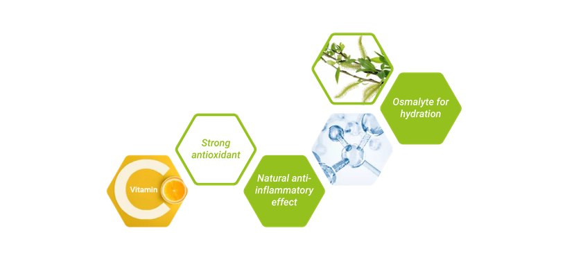 Figure 3: The powerful combination of salicin, vitamin C and betaine