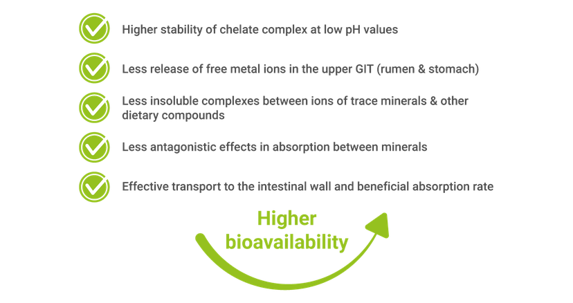 advantages of glycine bound trace elements