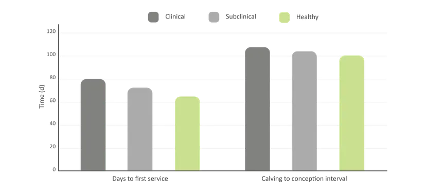 Figure 2: The influence of udder health on reproductive status