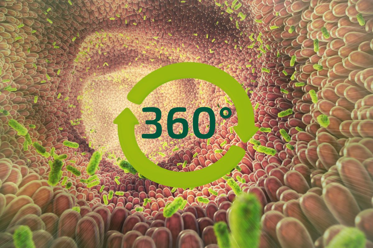 Gut Health From Every Angle: 360° Concept for Gut Health.