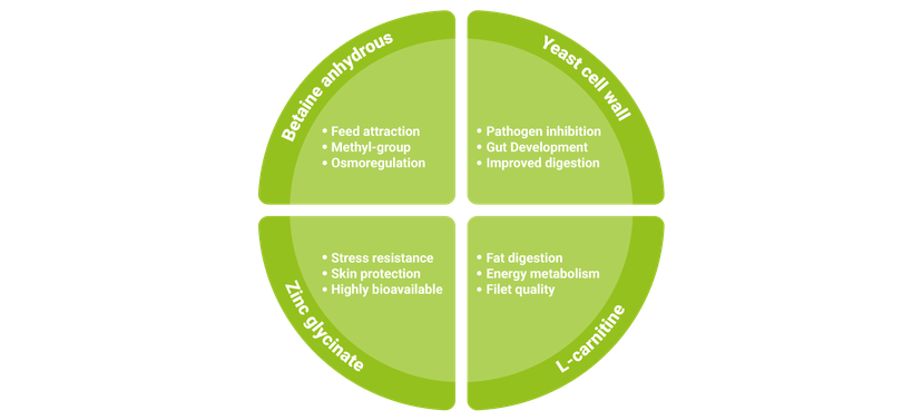 Figure 1: Betatec Aqua Contains Yeast a Prebiotic