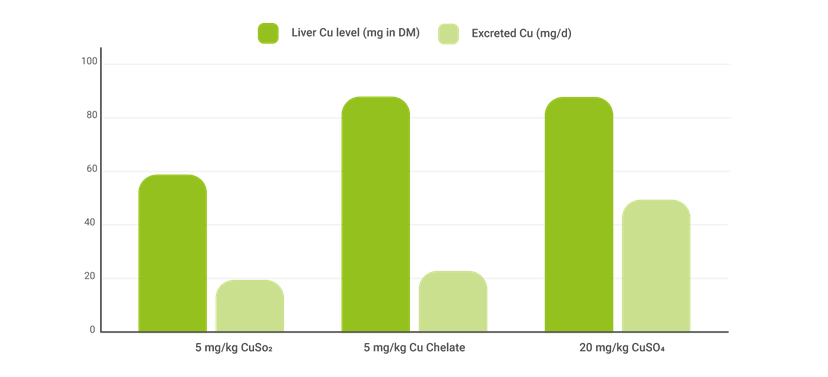 Figure 3: A comparison of copper sources in fattening pigs