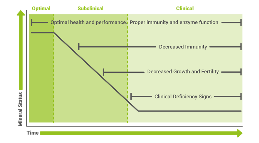 Figure 2: The effects of trace mineral deficiencies on health and production
