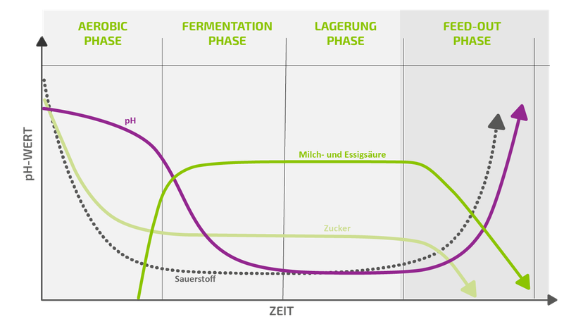 Abbildung 1: Übersicht über den Silierprozess
