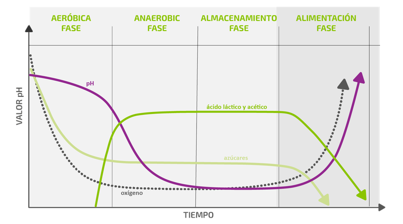 Figura 1: Visión general del proceso de ensilado