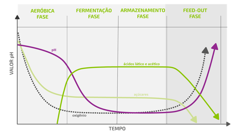 Figura 1: Uma visão geral do processo de ensilagem