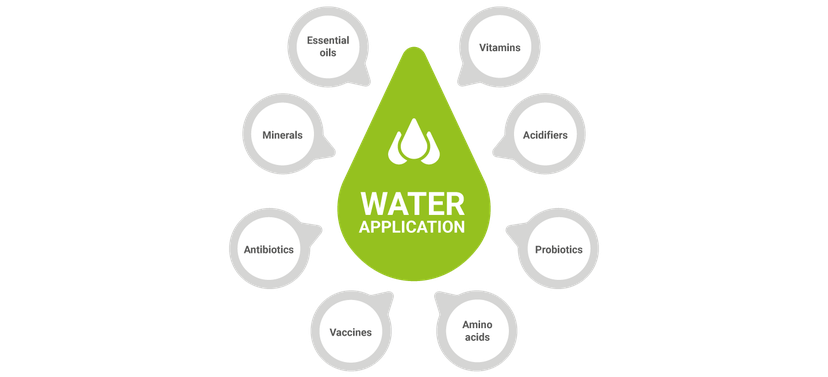 Figure 1: Possible options for use in drinking water