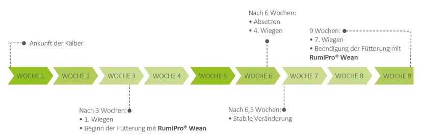 Abbildung 2: Zeitplan des Versuches.