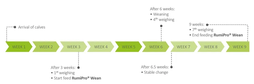 Figure 2: Trial timeline.