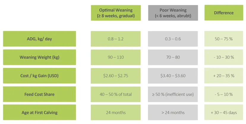 Table 2: The effects of weaning on ADG, weaning weight, cost per kg gain, feed costs, and age at first calving.