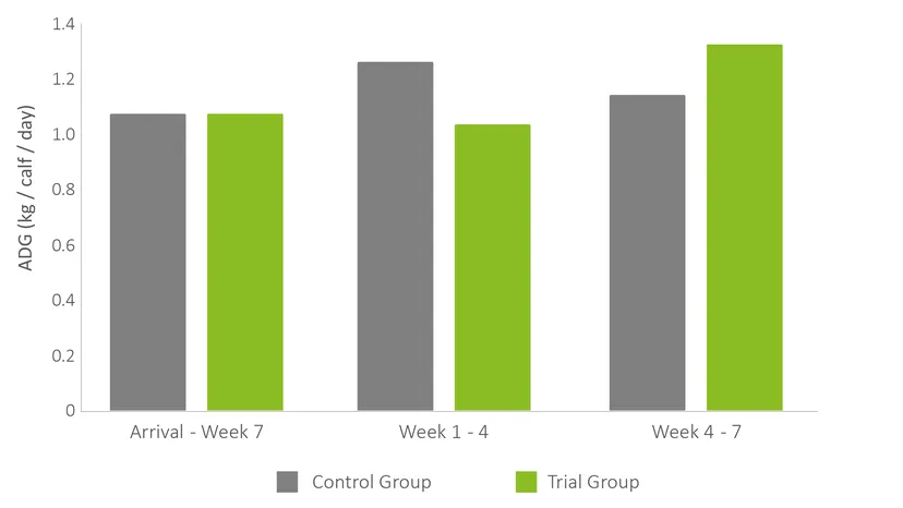 Figure 3: Supplementing RumiPro® Wean supported the maintenance of weight gains after weaning.
