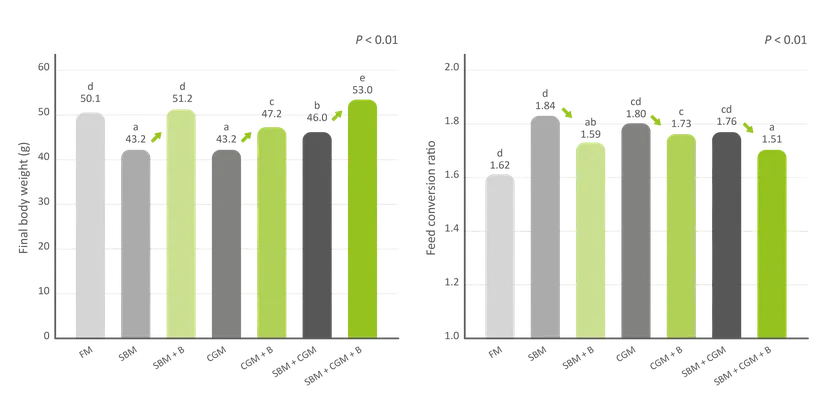 Figure 2: The addition of BetaTec® Aqua to plant-based protein diets allows for a full replacement of fish meal