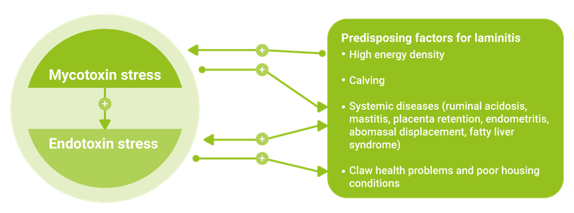 Figure 3 key to effective toxin management