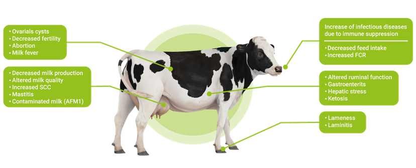 Figure 2 Effects on animal health and performance