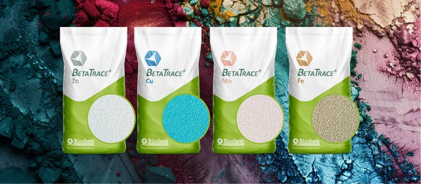 Abbildung 1: BetaTrace®-Produktlinie für Spurenelemente