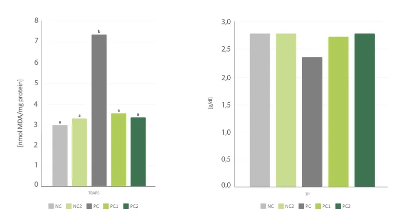Figure 4: TBARS/TP; a-b Values labelled with a different superscript within a row differ significantly