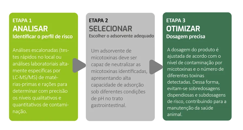 Figura 1 - Analisar, Selecionar, Optimizar
