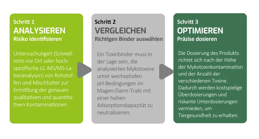Abbildung 1 - Analysieren, Vergleichen, Optimieren