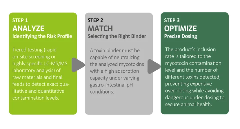 Figure 1 - Analyze, Match, Optimize