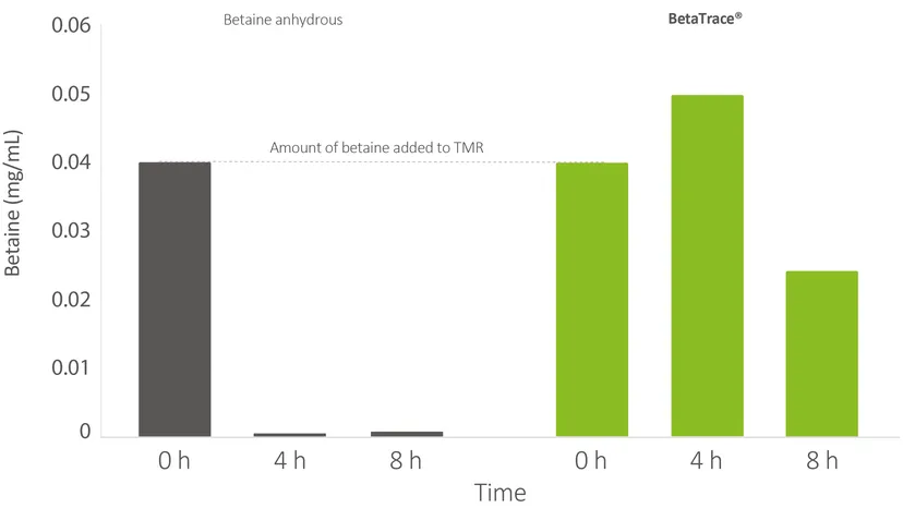 Figure 2: Betaine levels after 4 h and 8 h. Control: pure betaine anhydrous, test group: BetaTrace® (n=3).