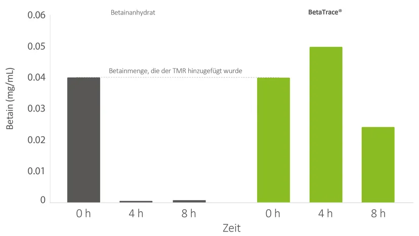 Abbildung 2: Betainwerte nach 4 und 8 Stunden. Kontrolle: Betainanhydrat; Versuchsgruppe: BetaTrace®
