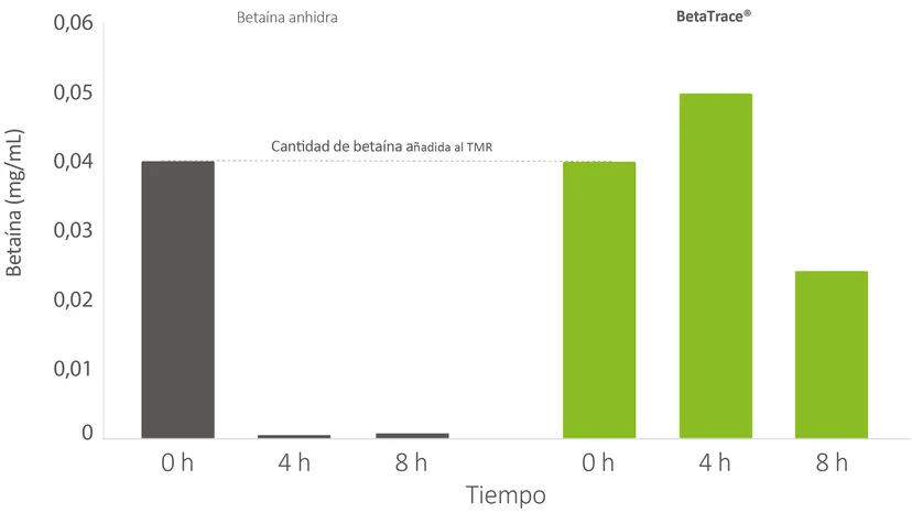 Figura 2: niveles de betaína después de 4 y 8 horas.