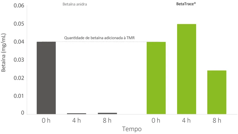 Figura 2: Níveis de betaína após 4 h e 8 h. Controle: betaína anidra pura, grupo de teste: BetaTrace®