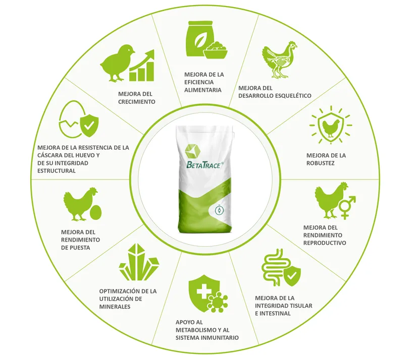 Figura 3: Efectos de BetaTrace® en nutrición avícola