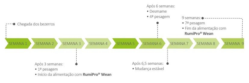 Figura 2: Cronograma do ensaio.