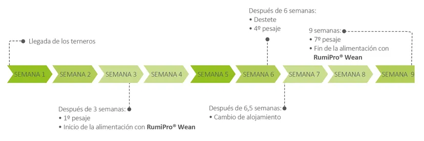 Figura 2: Cronología de la prueba