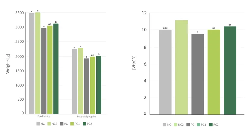 Figure 2: Performance (left) and villus height to crypt depth ratio