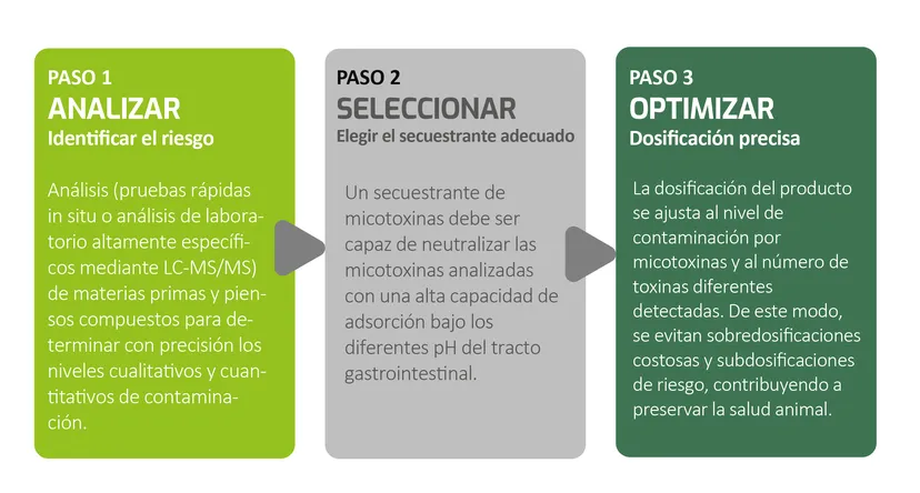 Figura 1 - Analizar, Seleccionar, Optimizar