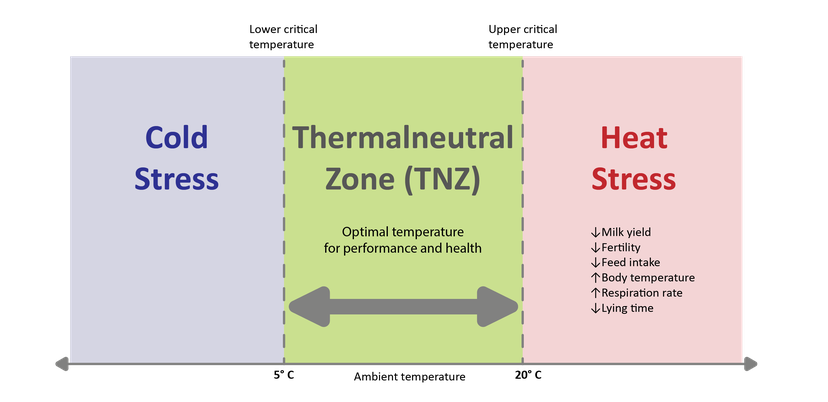 Figure 3: On either side of the TNZ is the temperature range