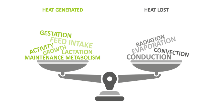 Figure 2: To maintain thermal energy balance