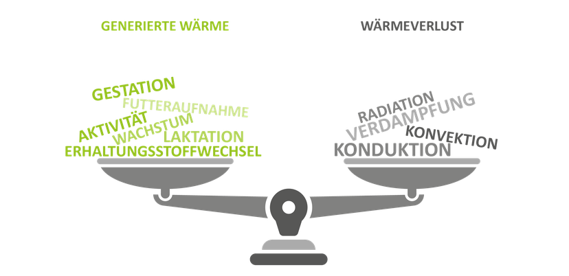 Abbildung 2: Um das thermische Energiegleichgewicht aufrechtzuerhalten