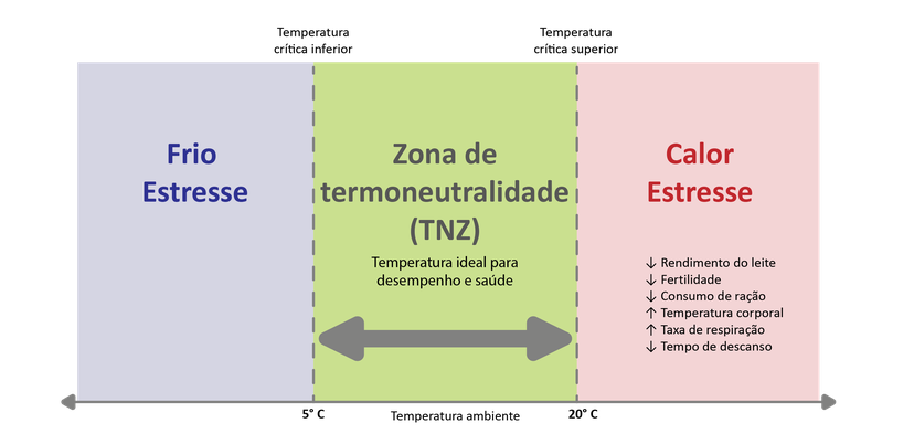 Figura 3: Em ambos os lados da TNZ está a faixa de temperatura