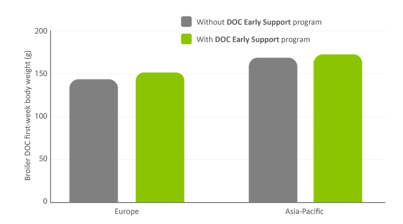 Figure 6: First-week body weight increases in broilers when the DOC Early Support program is implemented.