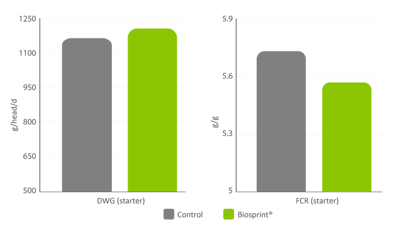 Figure 2: Biosprint® improved DWG and FCR in the starter period