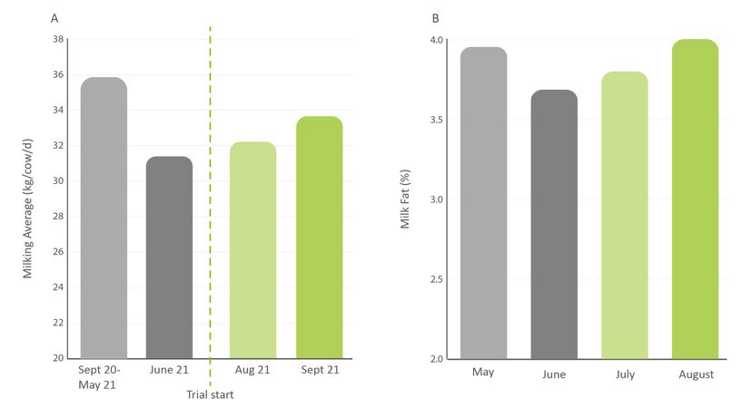 Figure 4: Official testing milking averages before and during the trial (A)