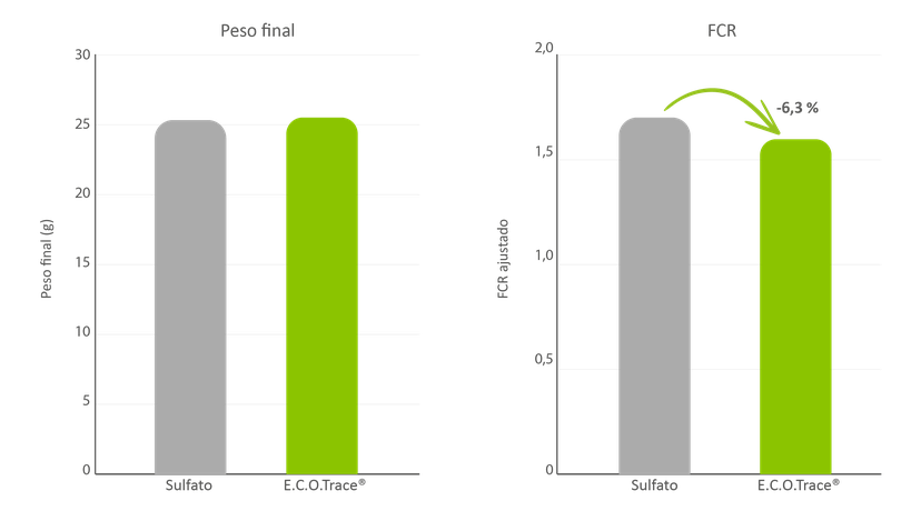 Figura 2: Bom desempenho com aumento da eficiência alimentar.