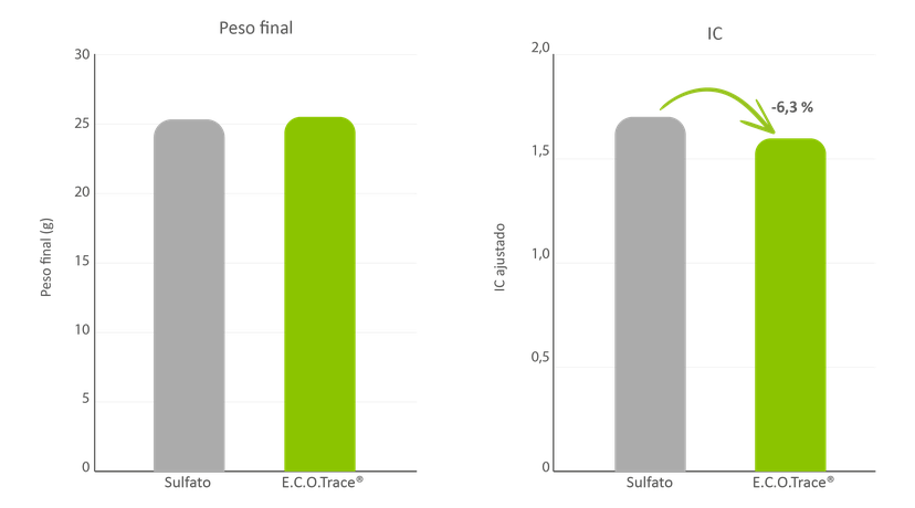 Figura 2: Buen rendimiento con mayor eficiencia alimentaria