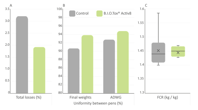 Figure 6: Piglets fed BIOTox® Activ8 resulted in reduced total losses