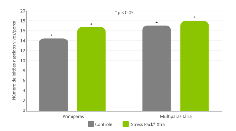 Figura 3: Porcas primíparas e multíparas do grupo Stress Pack® Xtra tiveram