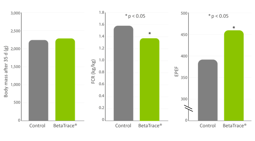 Figure 5 - Broilers supplemented with zinc from BetaTrace® Zn had increased body mass