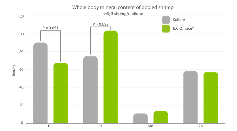 Figure 3: Whole body mineral content of pooled shrimp