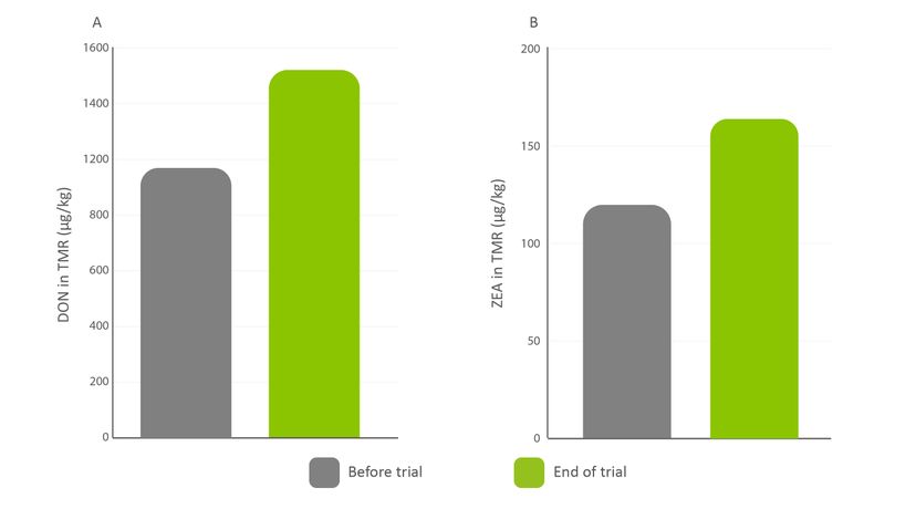 Figure 2: DON and ZEA contamination levels in the TMR before trial start and at the end of the trial