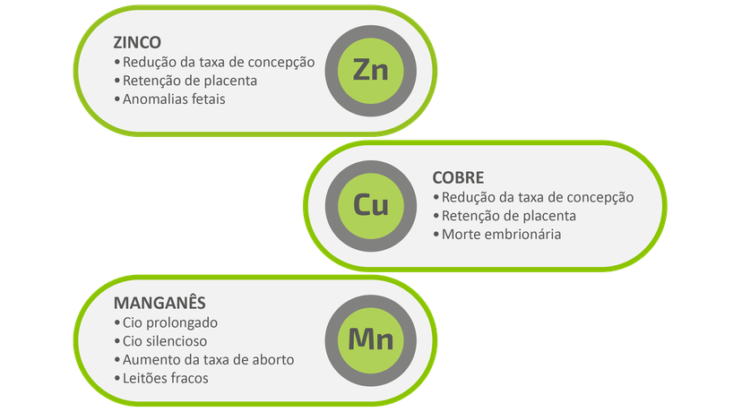 Figura 5: O impacto das deficiências de microminerais na fertilidade e na reprodução.