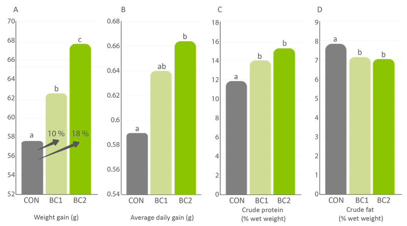 Figure 1: Weight gain increased by up to 18% with TechnoSpore®