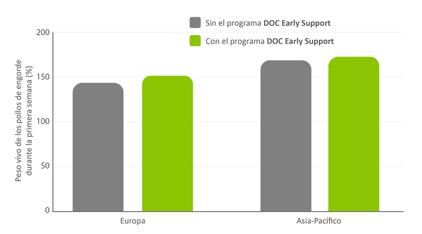 Figura 6: el peso vivo durante la primera semana aumenta en los pollos de engorde cuando se implementa el programa DOC Early Support.