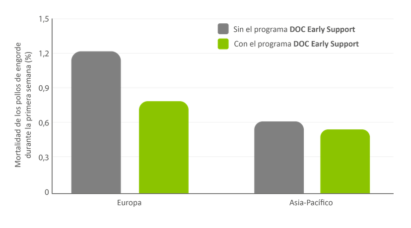 Figura 5: la mortalidad durante la primera semana en pollos de engorde disminuye cuando se implementa el programa DOC Early Support.